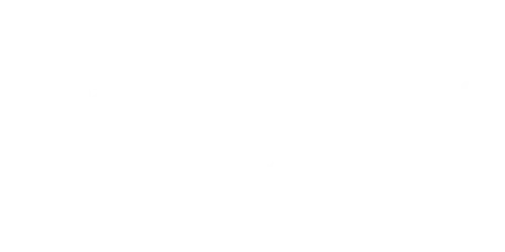 Fidelis Healthcare Logo
